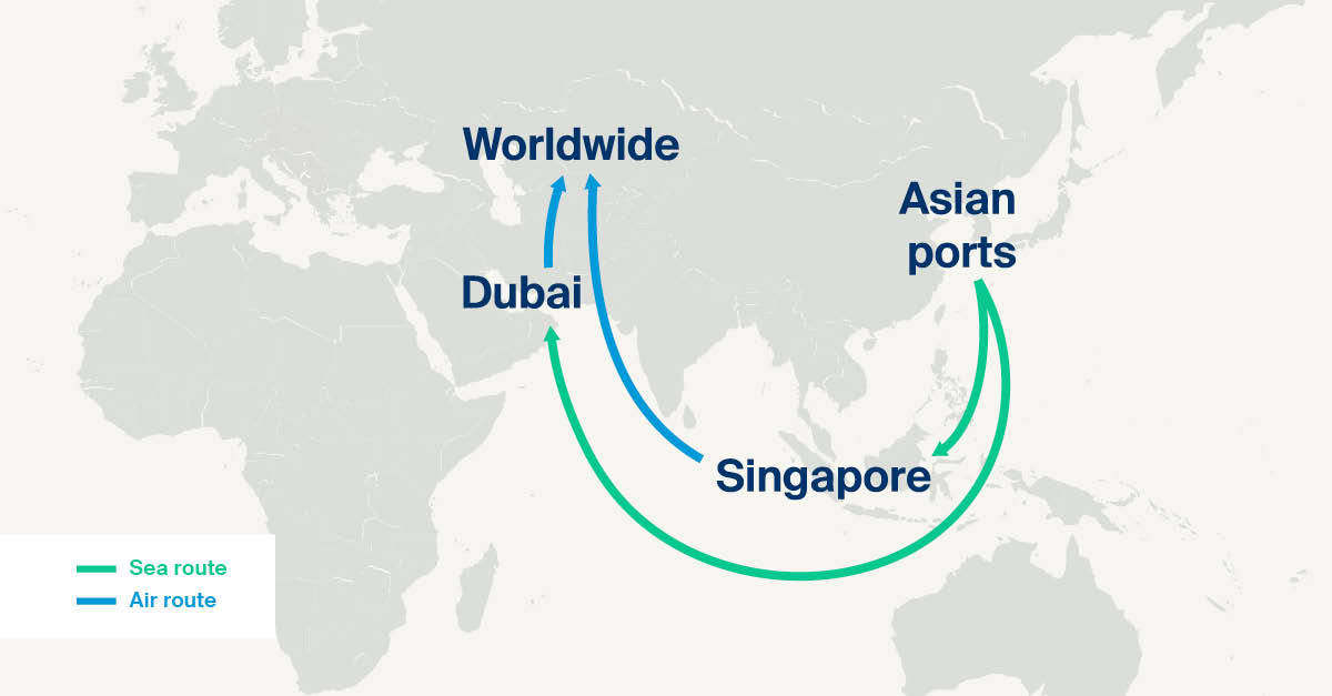 从亚洲港口海运至迪拜/新加坡+空运到全球各个目的地