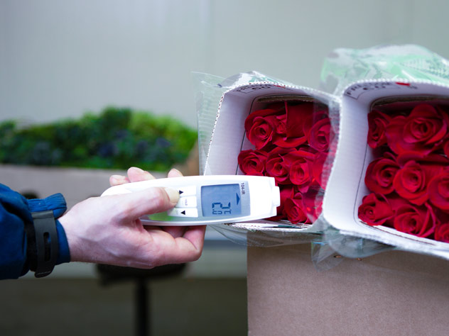 Logistics solutions for flowers and plants